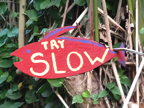 Try-Slow-sign